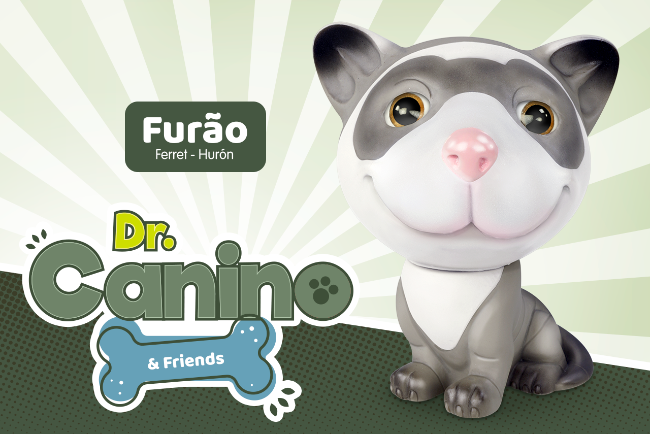 DR. CANINO & FRIENDS - FURÃO